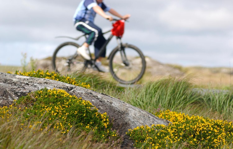 Hidden Connemara Cycling Experience