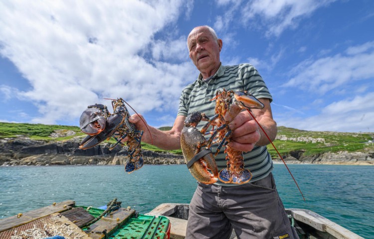 Hidden Islands of the Wild Atlantic Way - Cycling & Walking Tour