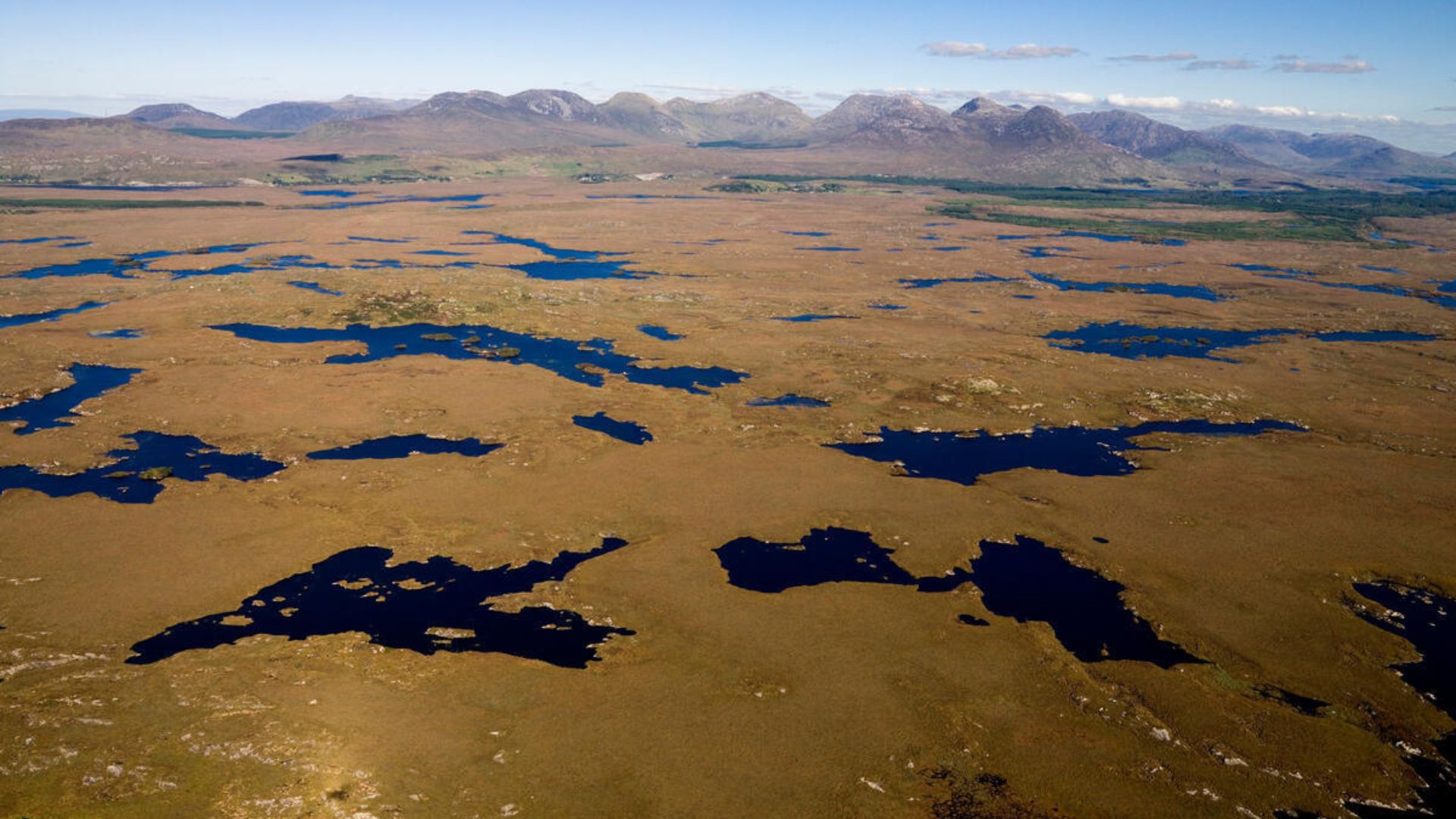 Blanket bog landscape in Connemara near Roundstone