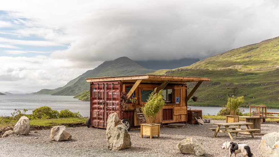 Food from Misunderstood Heron food truck showing fresh local cuisine with scenic backdrop