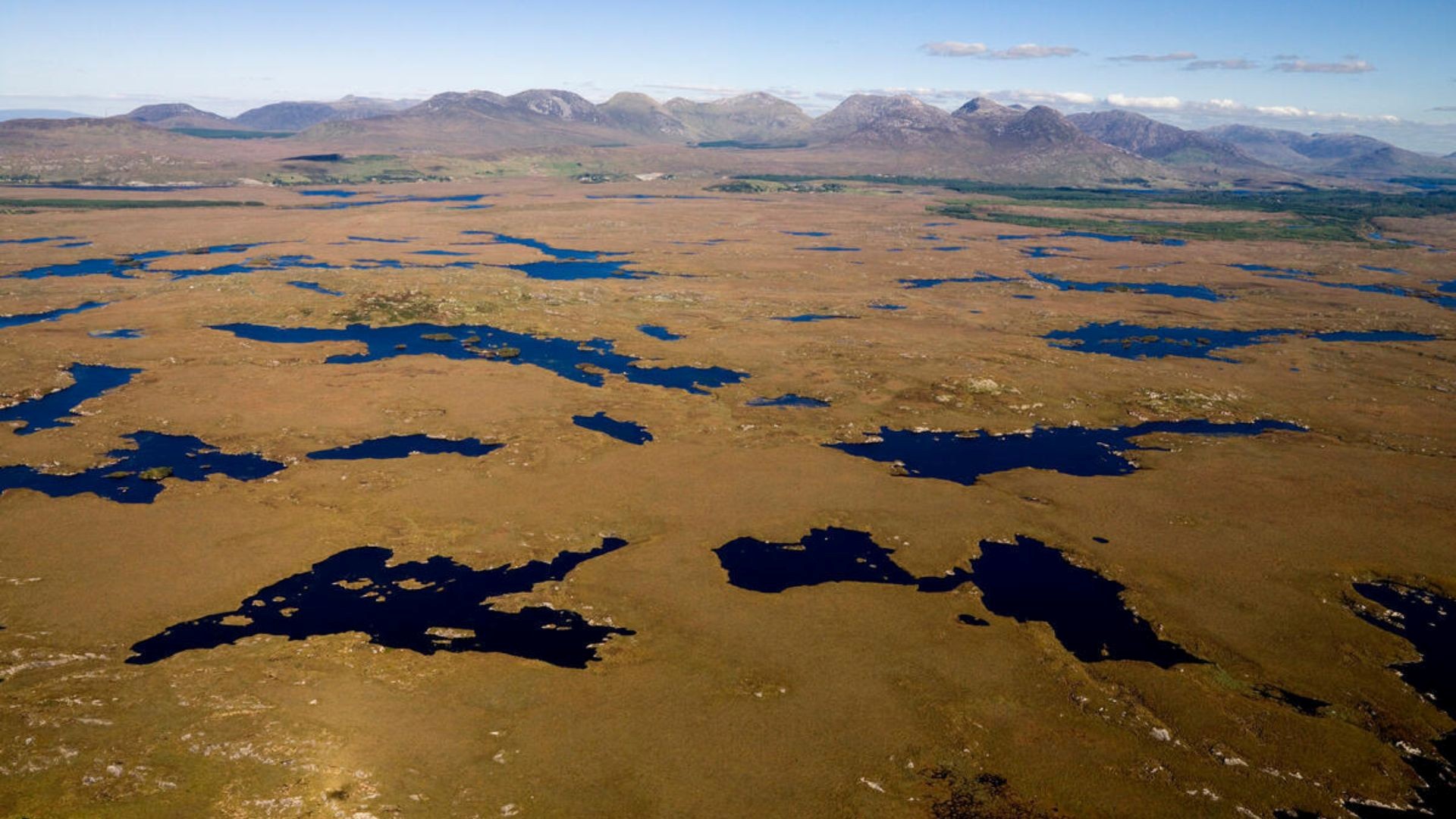 Blanket bog landscape in Connemara near Roundstone