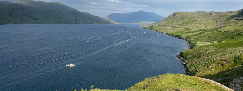 Killary Fjord and Famine Trail in Connemara